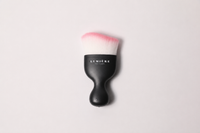 The Lumiére Fluff Brush